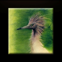Alan Klemm - Artist - GALLERY 1